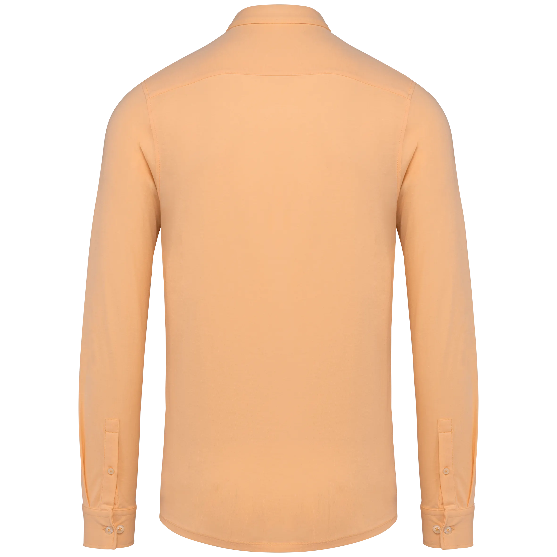 Pastel Apricot