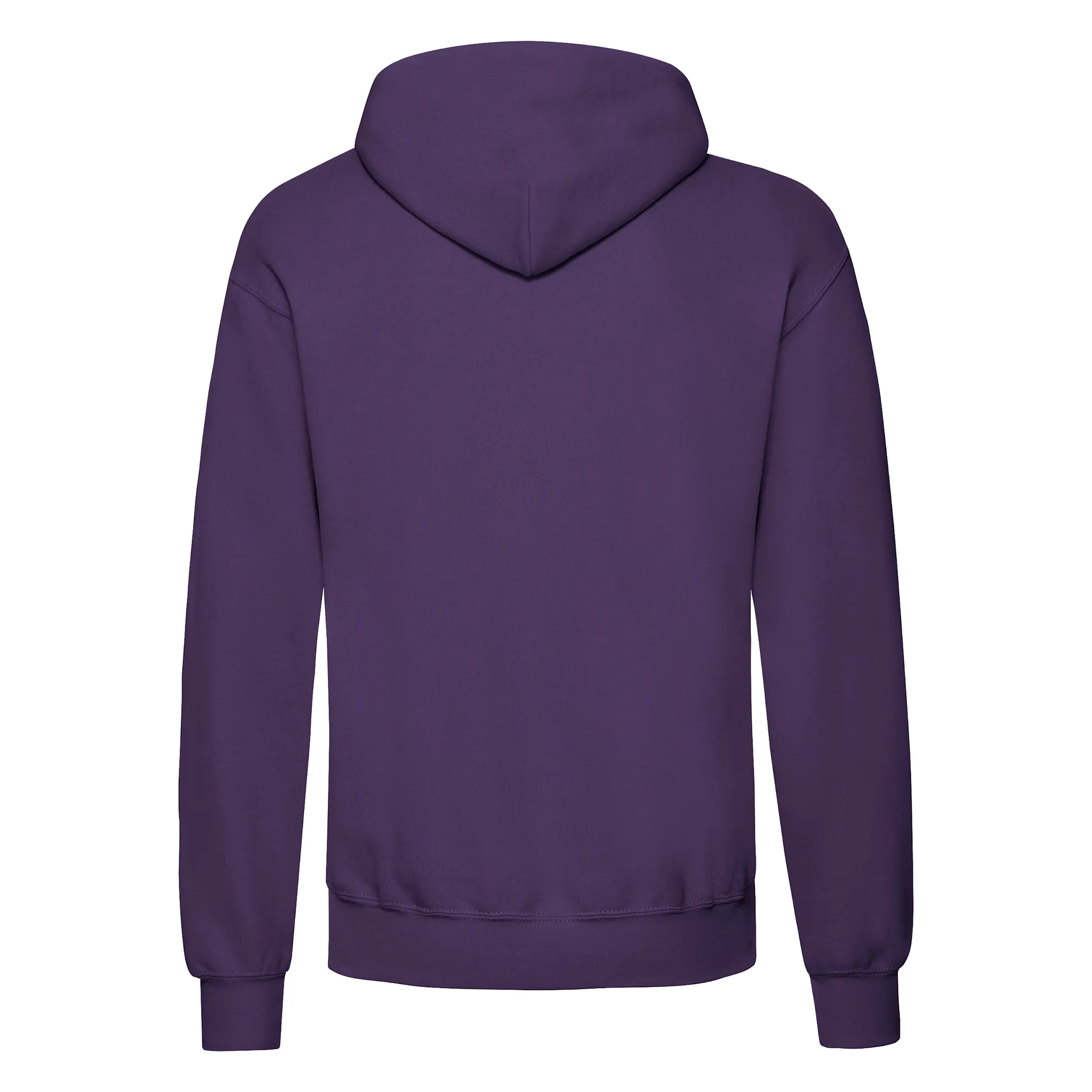 Sudadera Classic capucha  (62-208-0)
