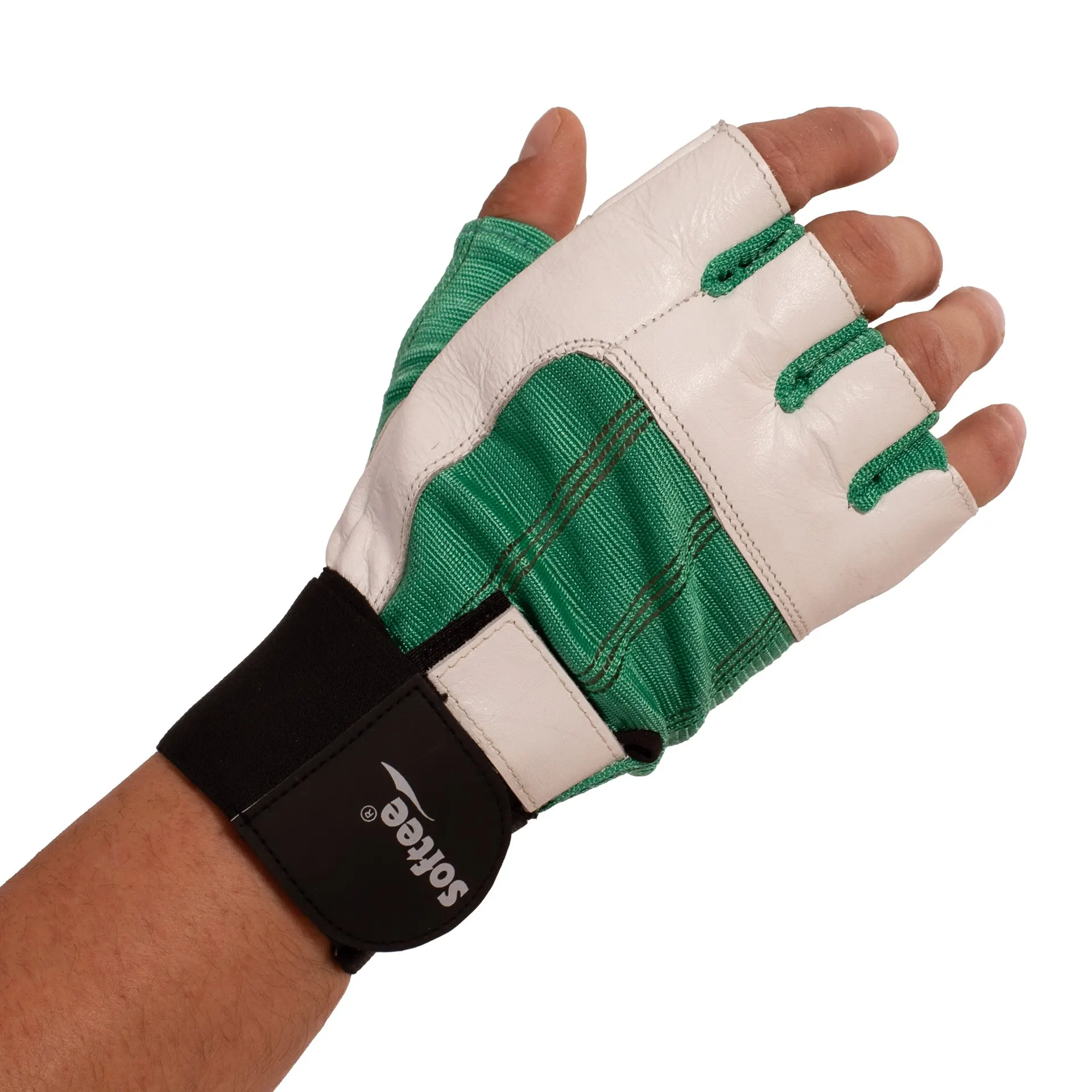 Blanco/Verde