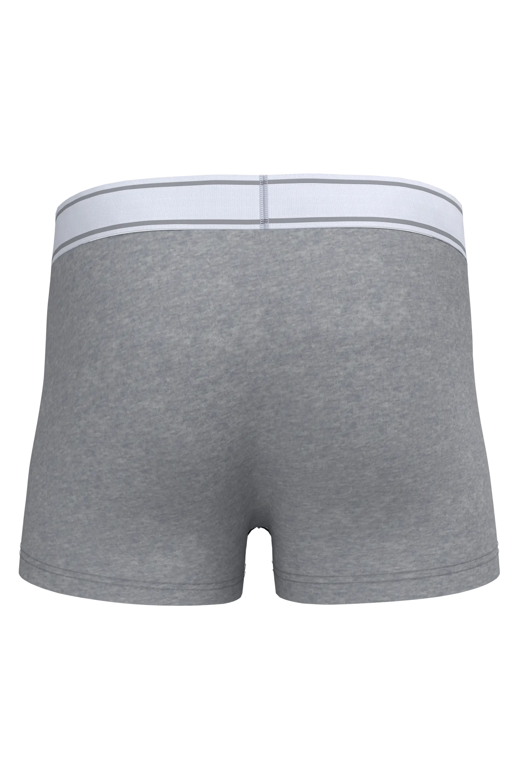 Boxer hombre
