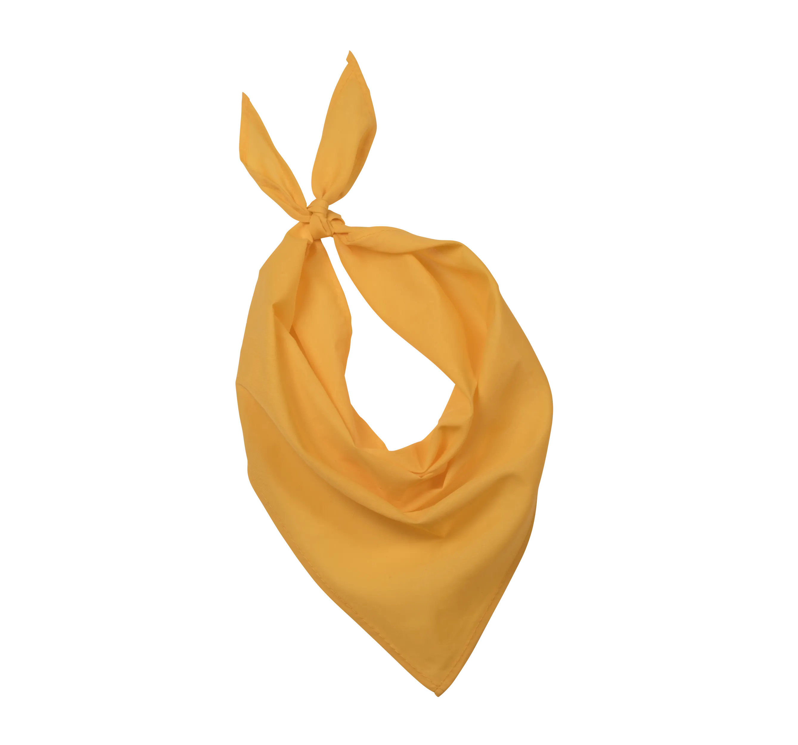 Bandana - Fiesta
