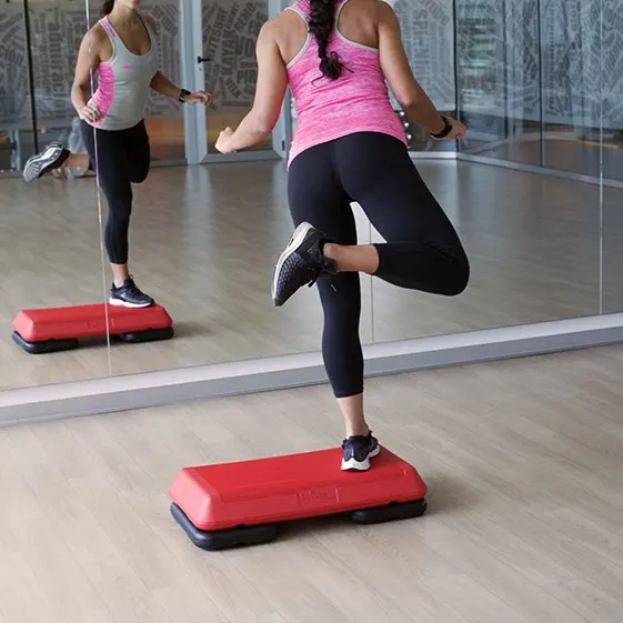 MINISTEP PROFESIONAL