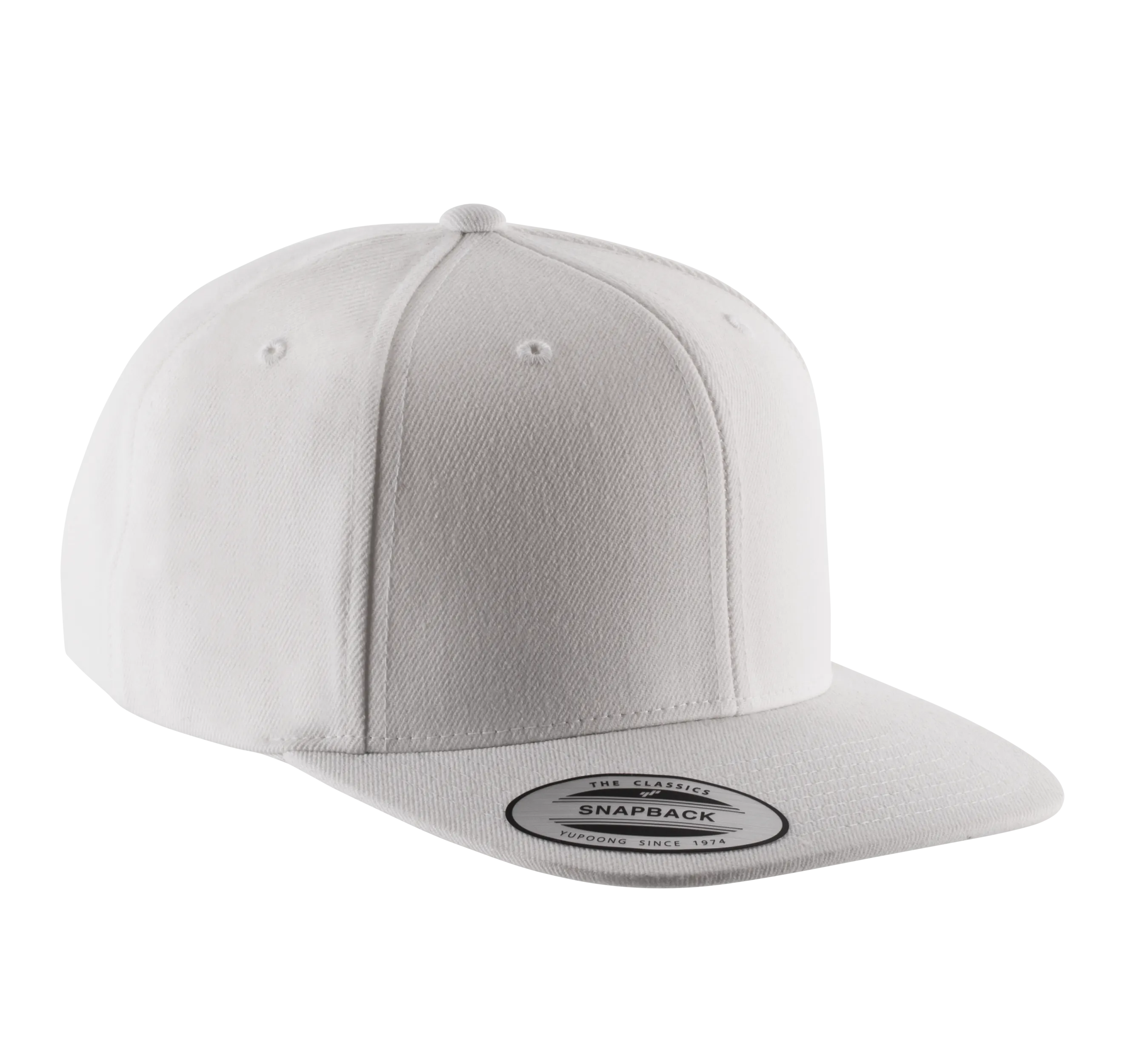 Gorra visera plana - 6 paneles