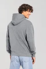 Sudadera con capucha Iconic 250