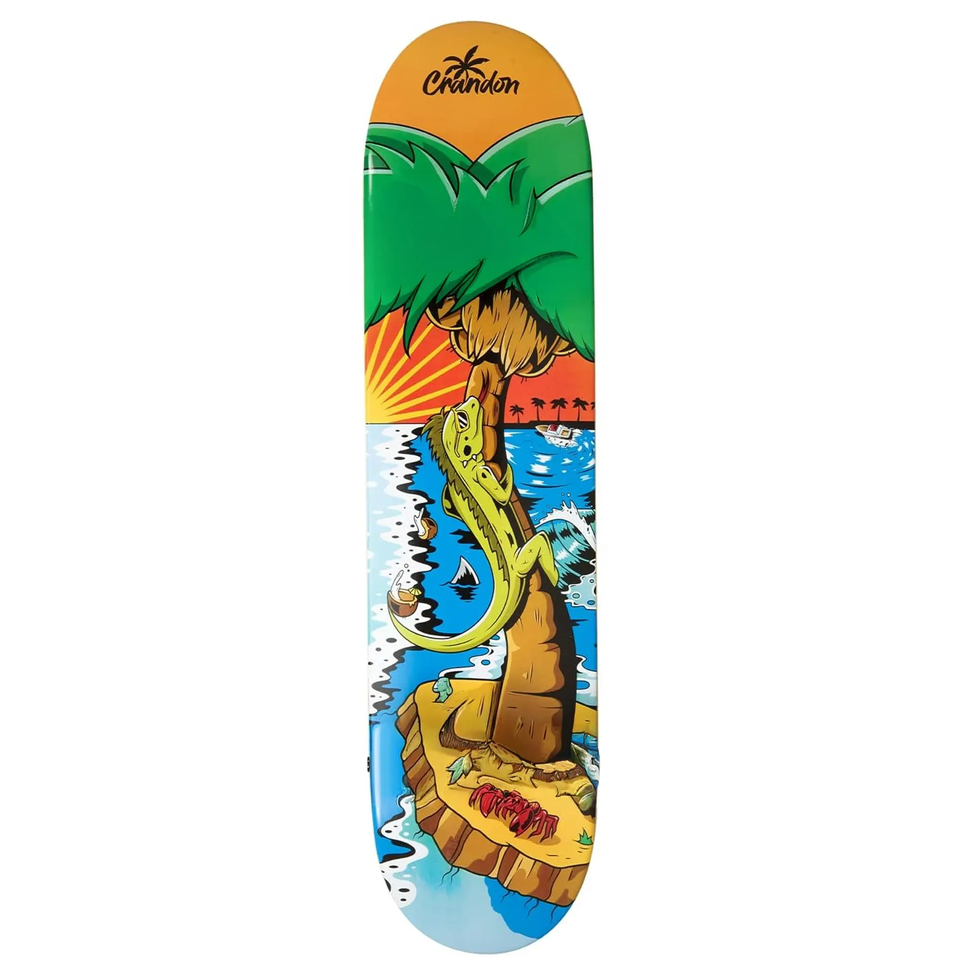 SKATE CRANDON PALMDECK