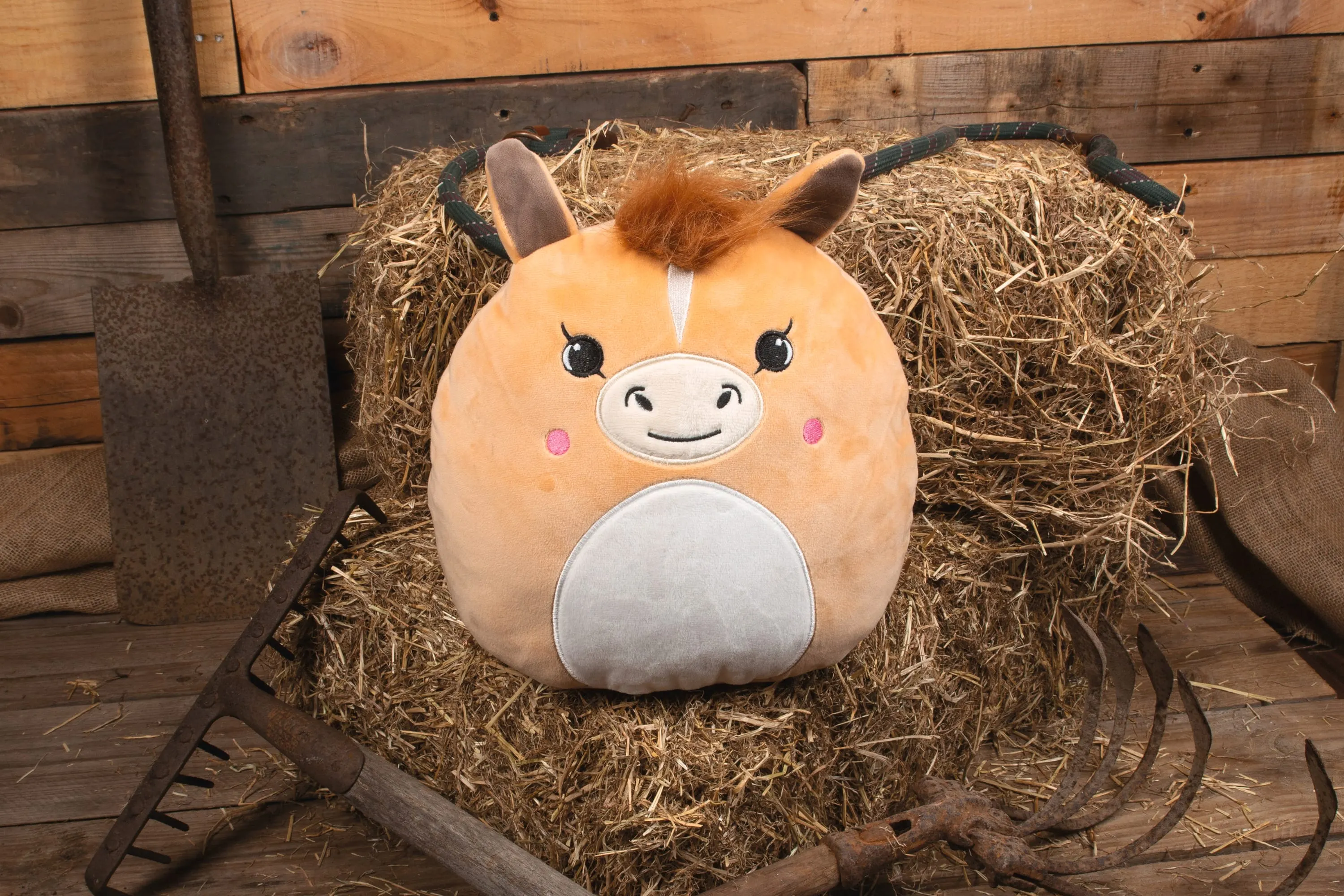 Peluches Squidgy's<br/>
