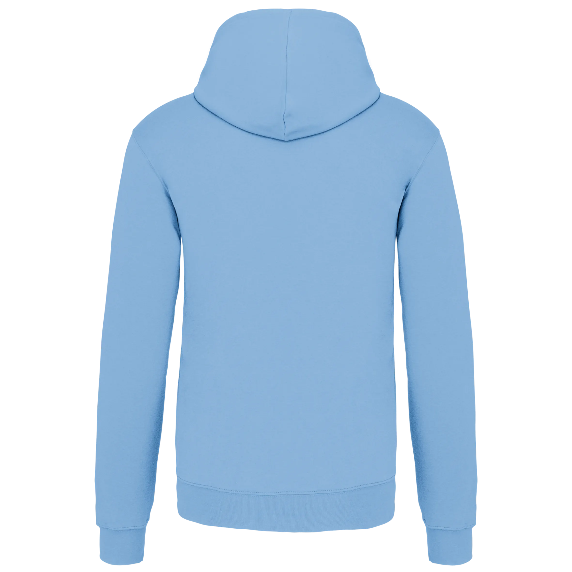 Sudadera capucha contrastada hombre