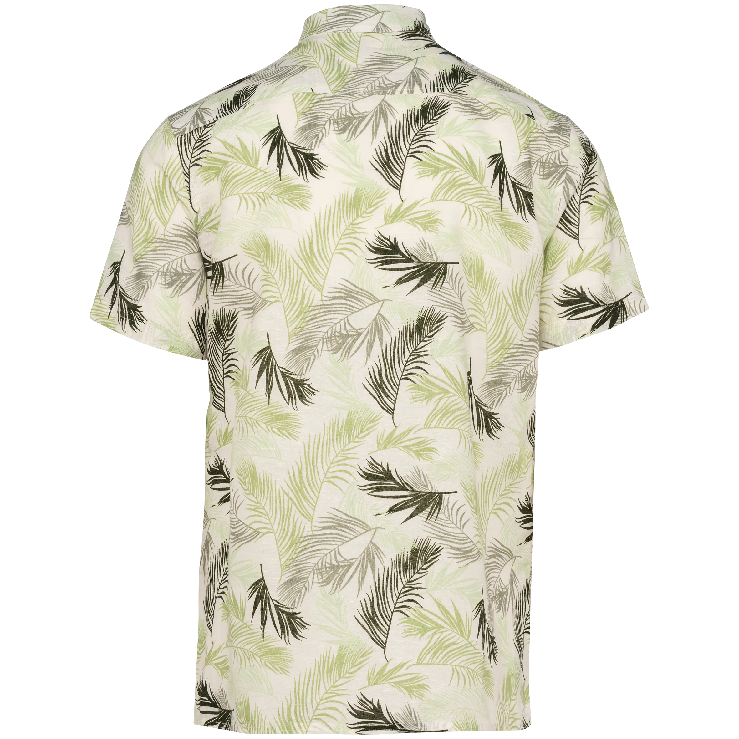Ivory Palm Leaves