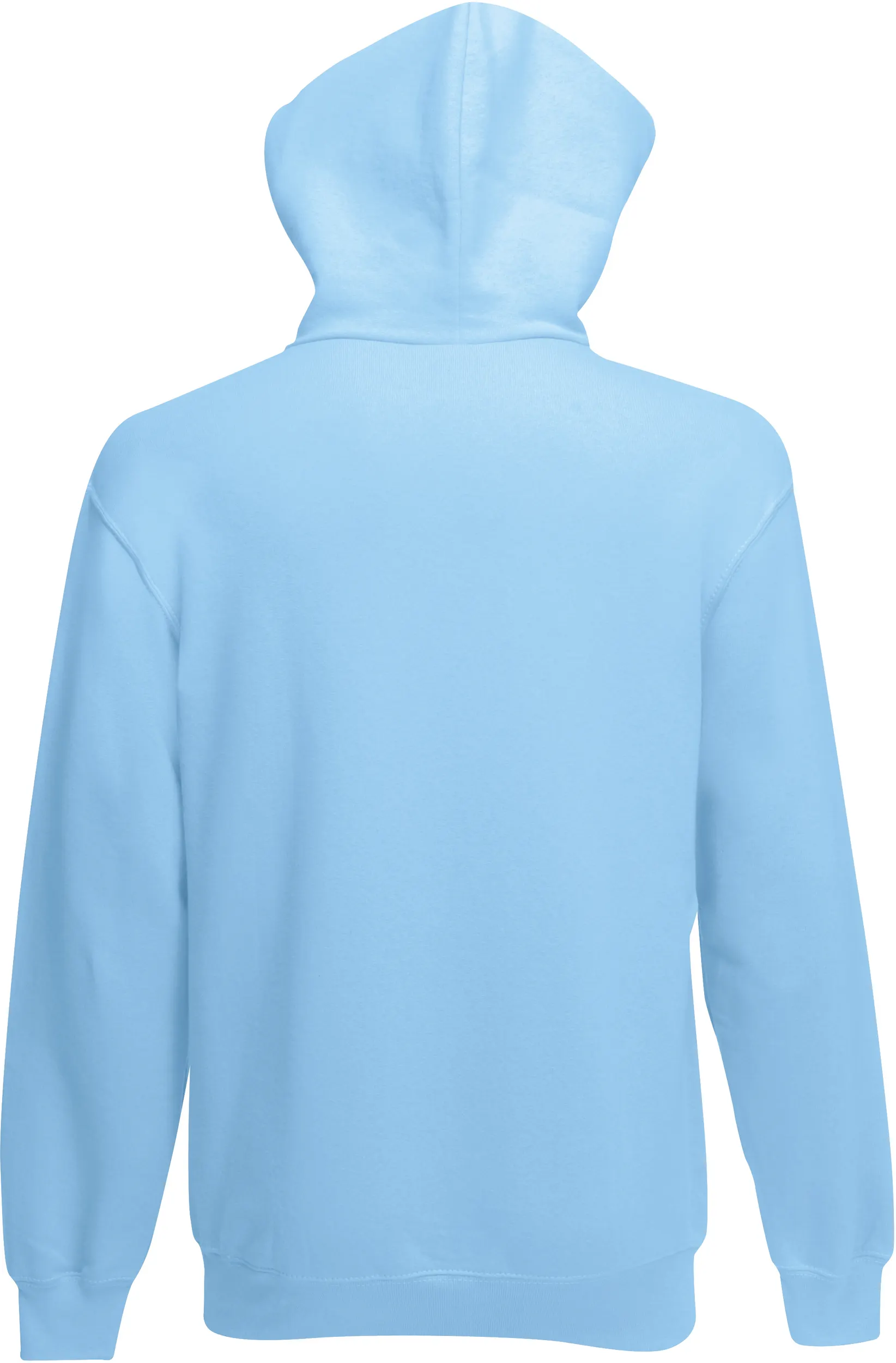 Sudadera Classic capucha  (62-208-0)