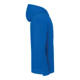 Sudadera con capucha Iconic 250