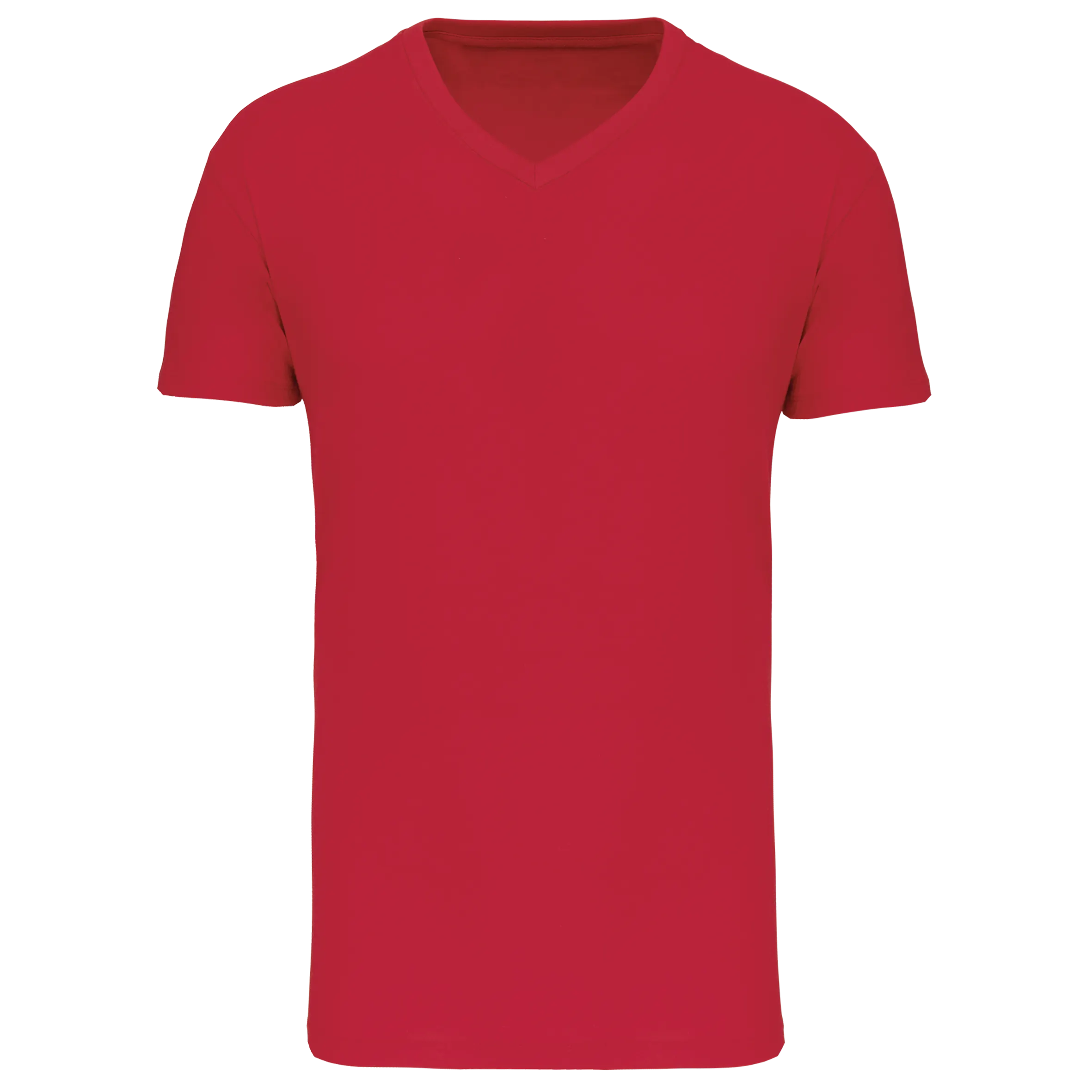 Camiseta BIO150 IC cuello de pico hombre