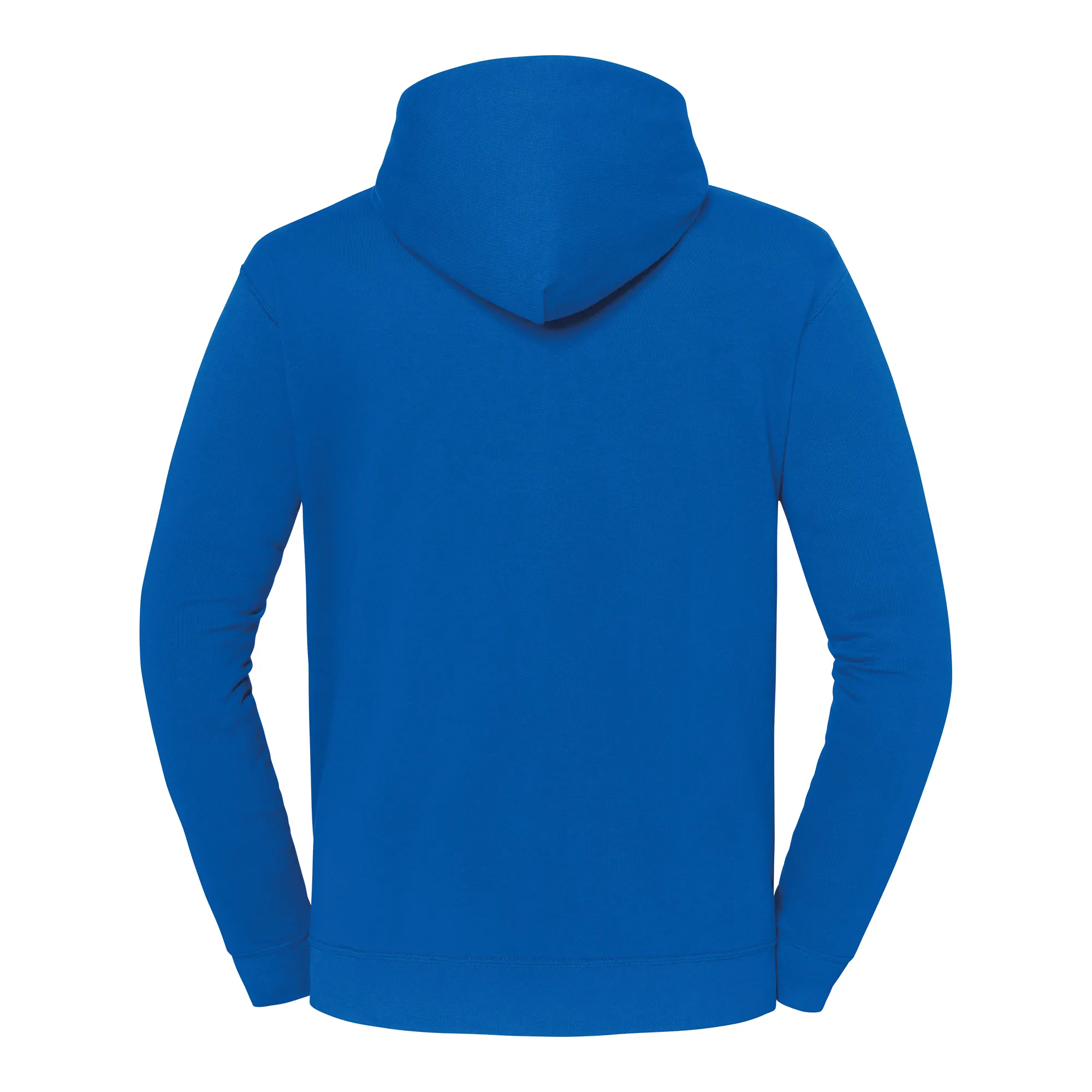 Sudadera con capucha Iconic 250
