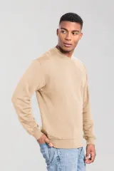 Sudadera Iconic 250