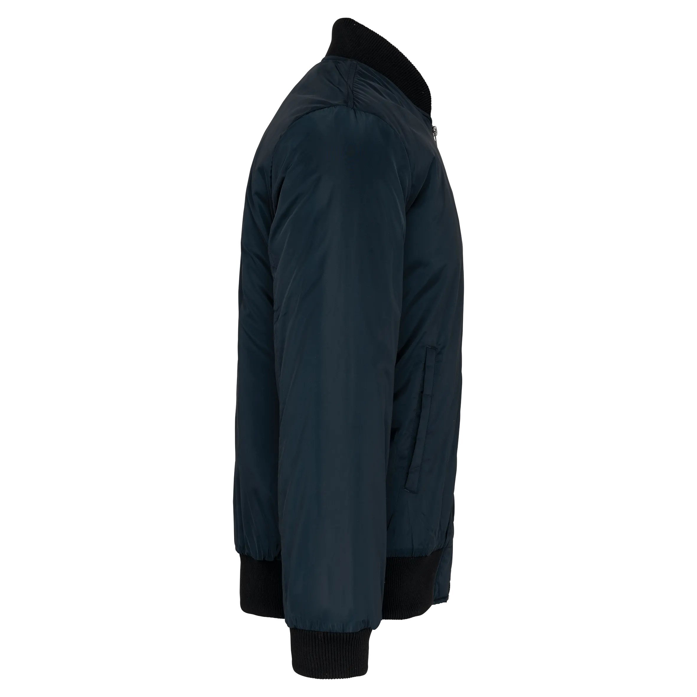 Cazadora bomber hombre
