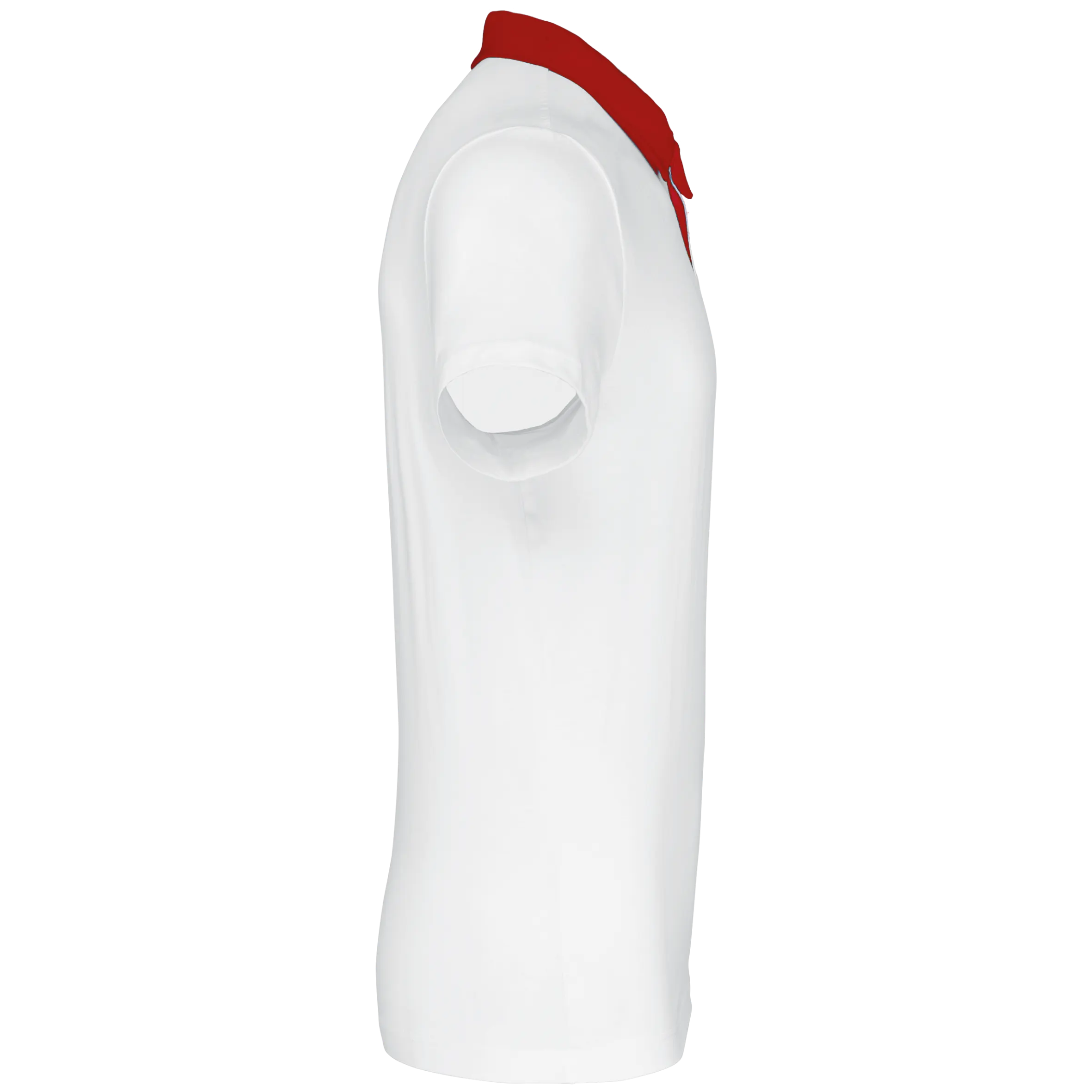 Polo jersey bicolor hombre