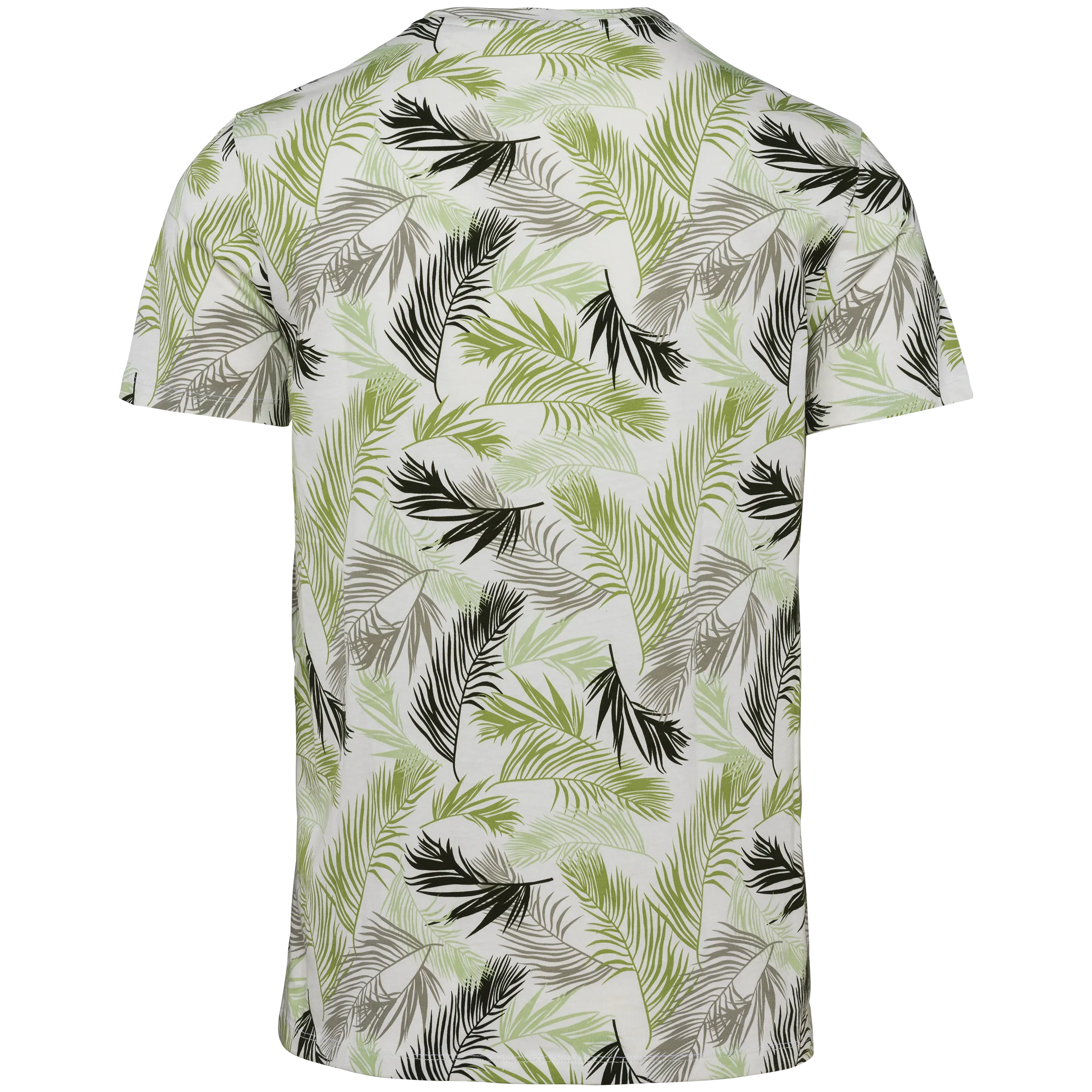 Ivory Palm Leaves