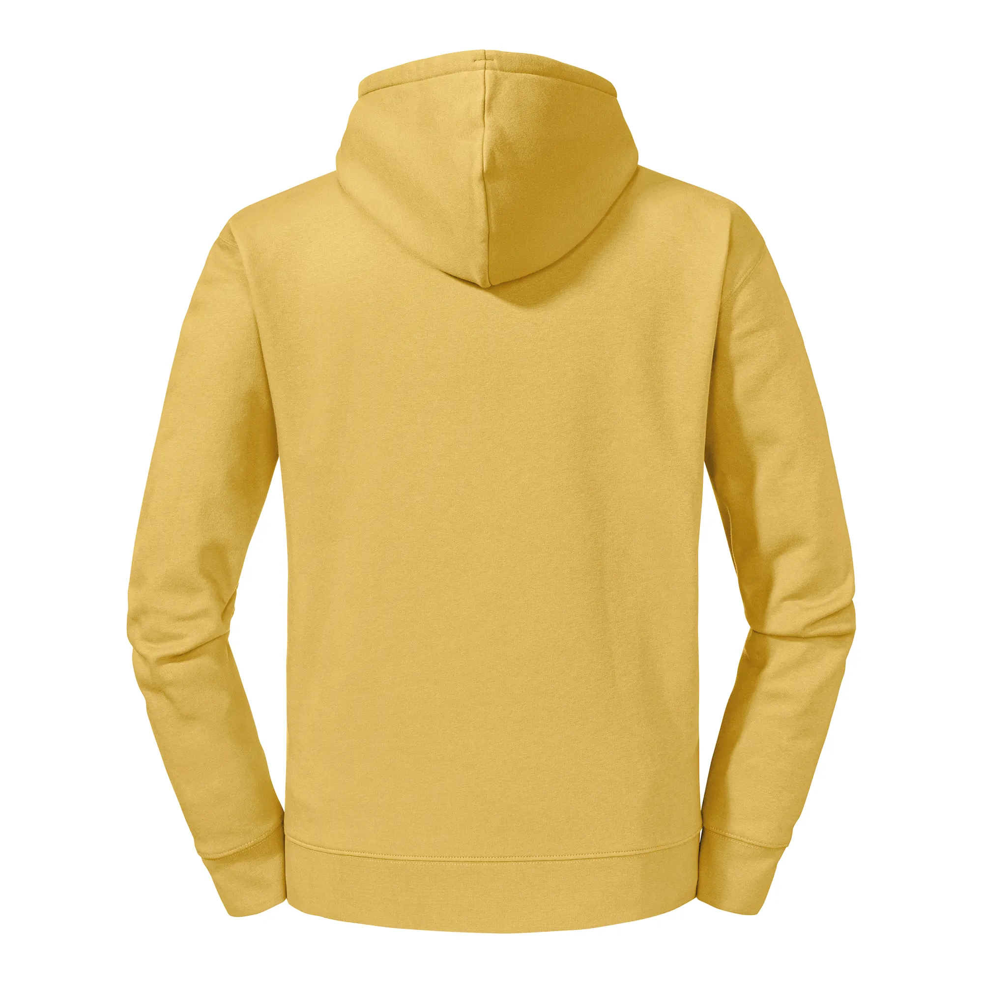 Sudadera con capucha Authentic
