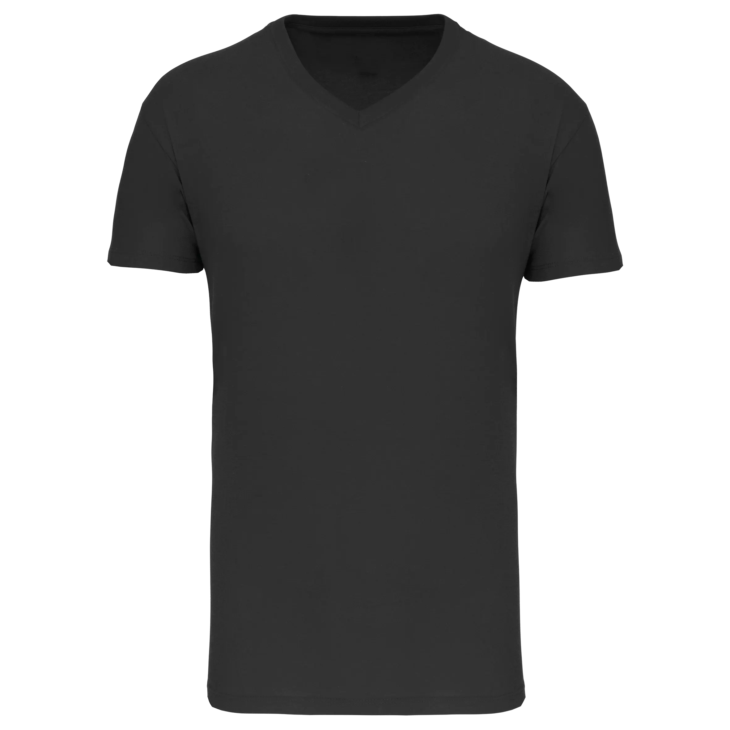 Camiseta BIO150 IC cuello de pico hombre