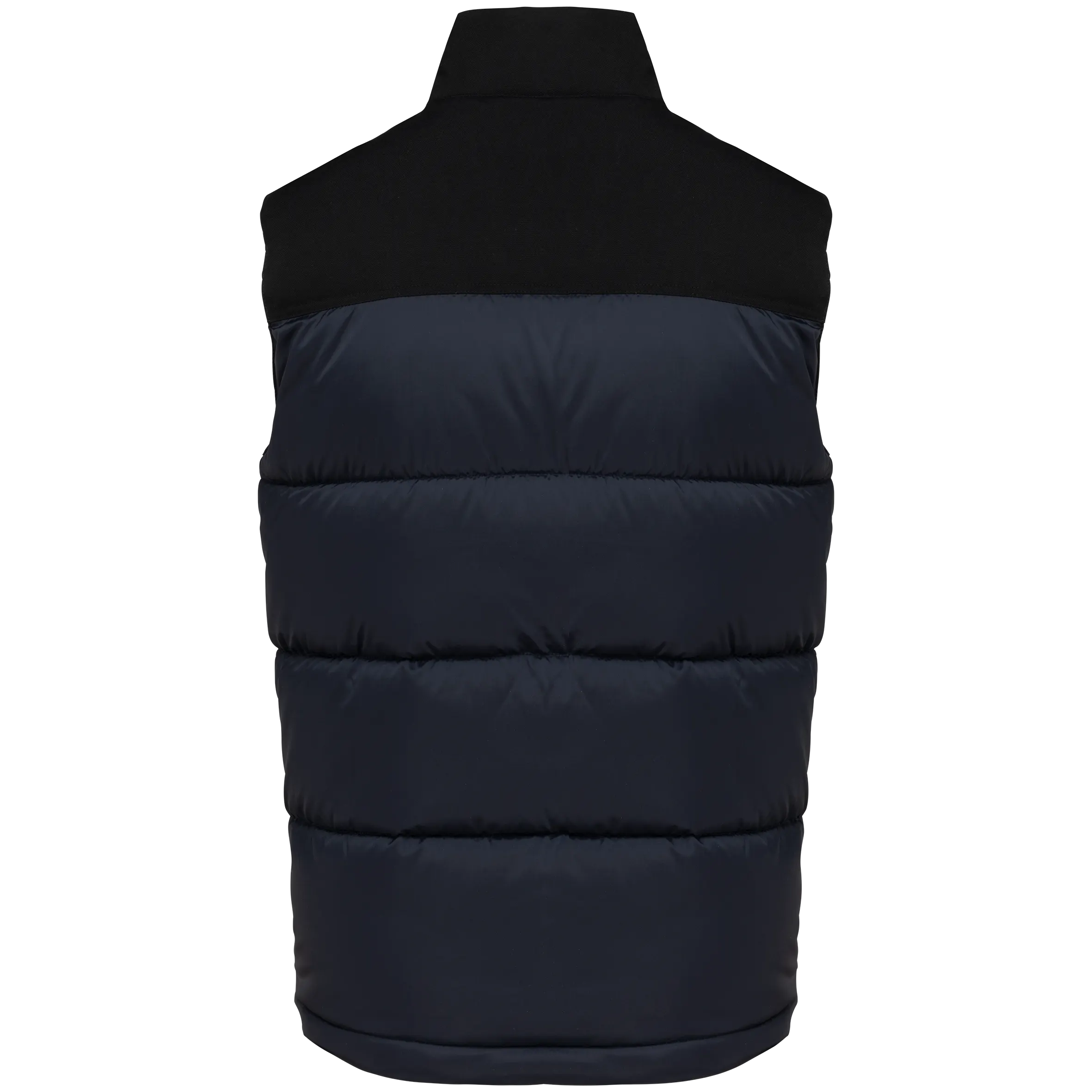 Navy / Black