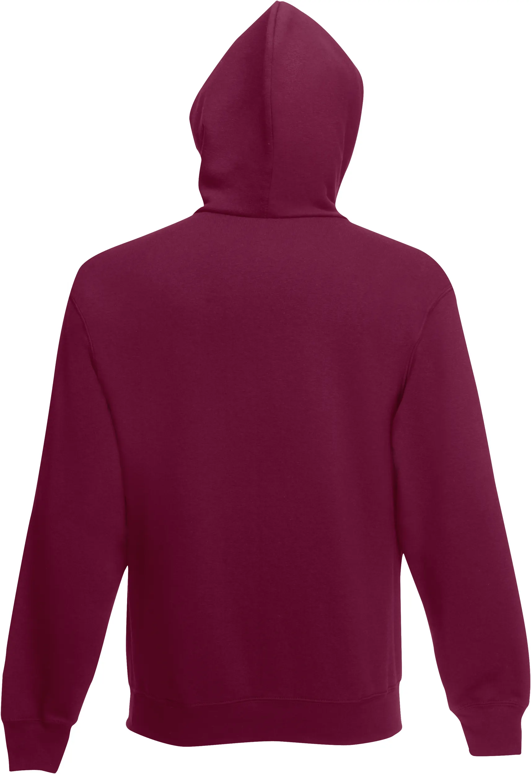 Sudadera Classic capucha  (62-208-0)