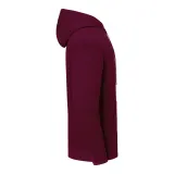 Sudadera con capucha Iconic 250
