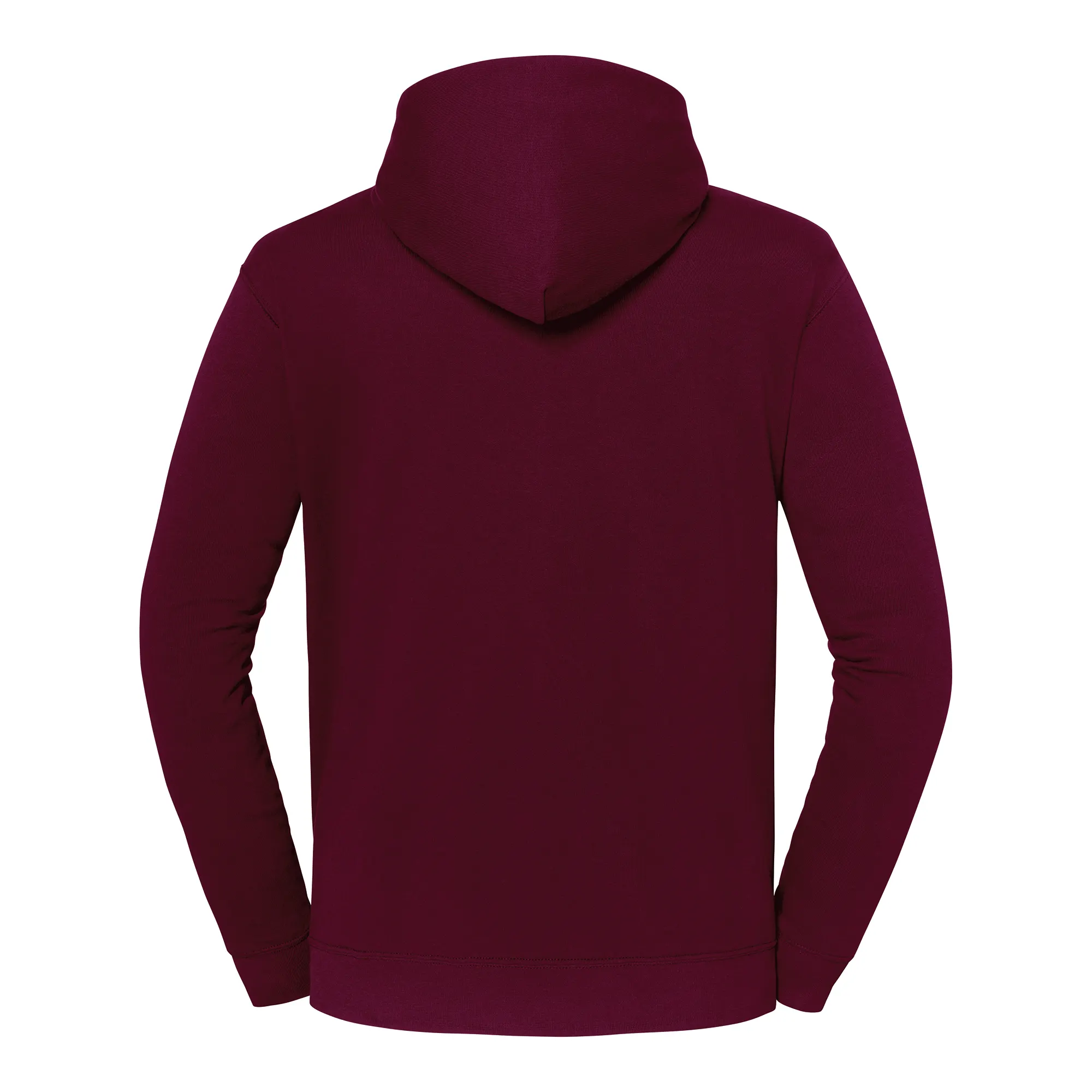 Sudadera con capucha Iconic 250