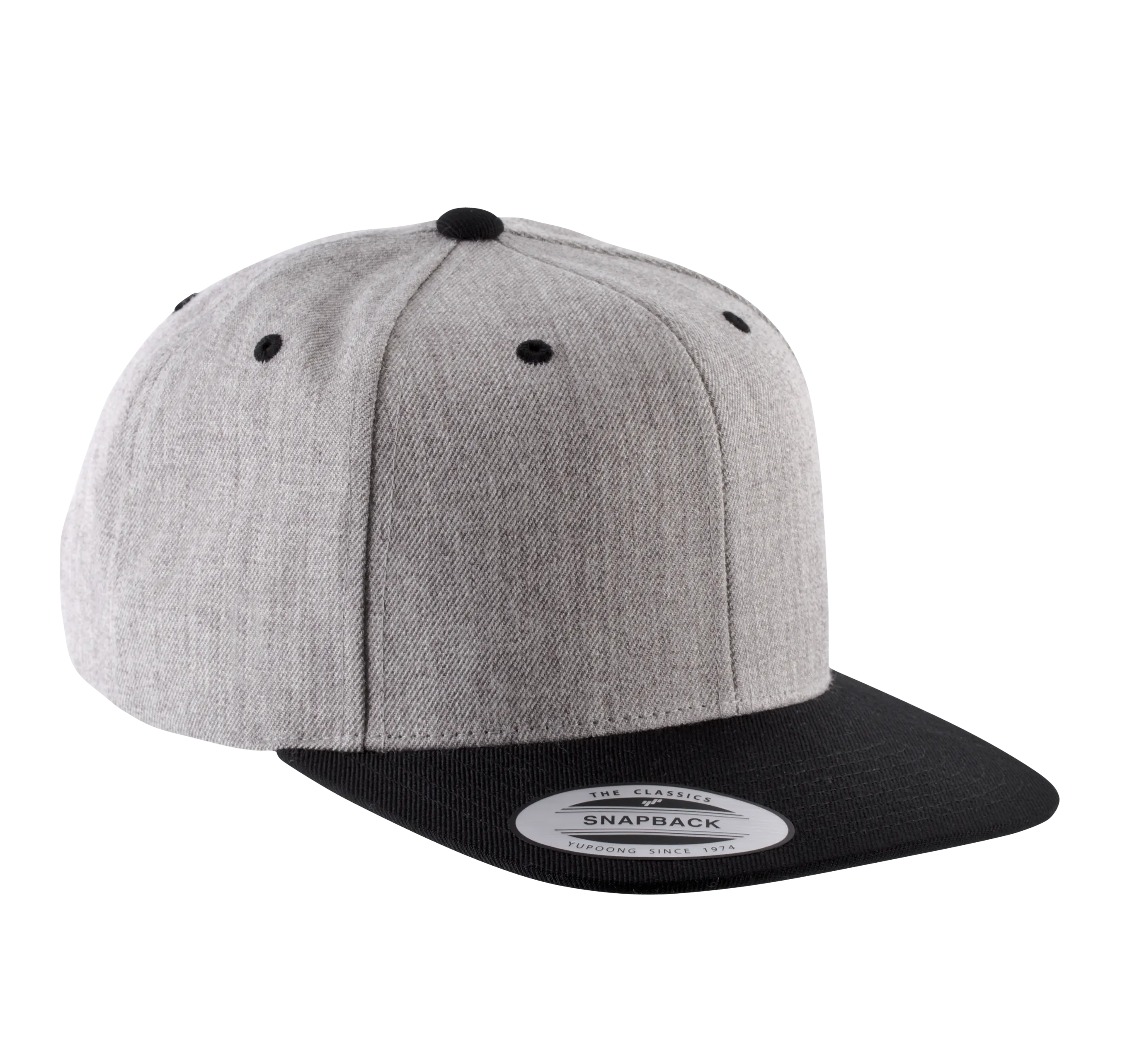 Gorra visera plana - 6 paneles