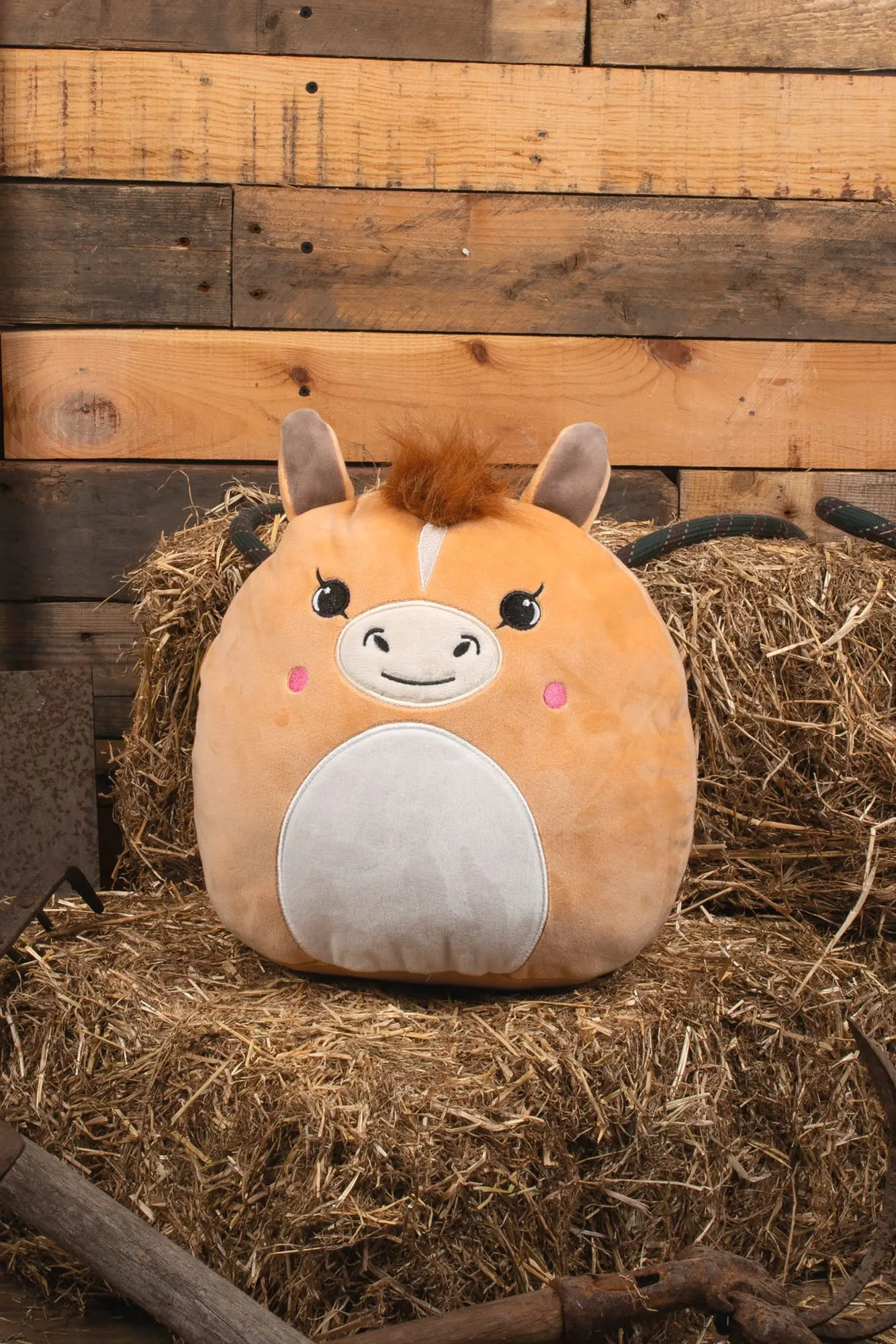 Peluches Squidgy's<br/>