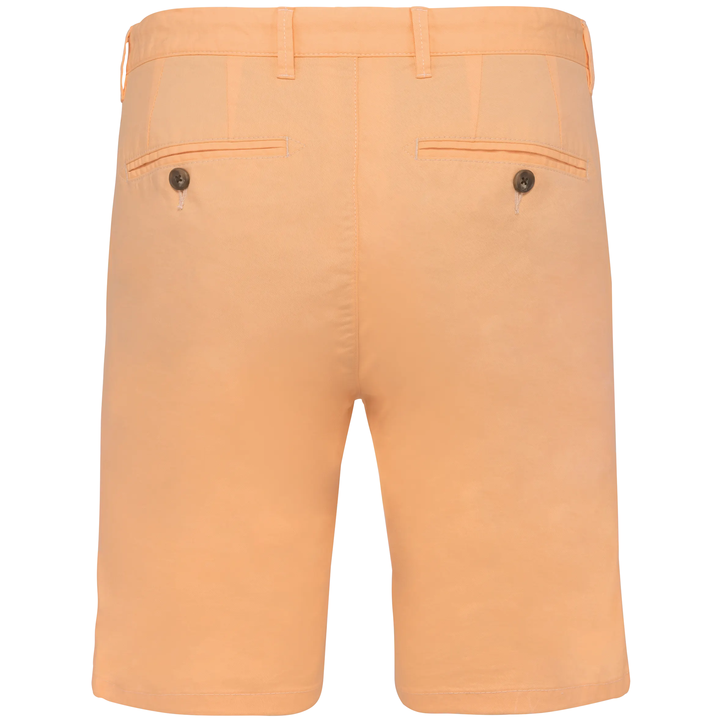 Pastel Apricot