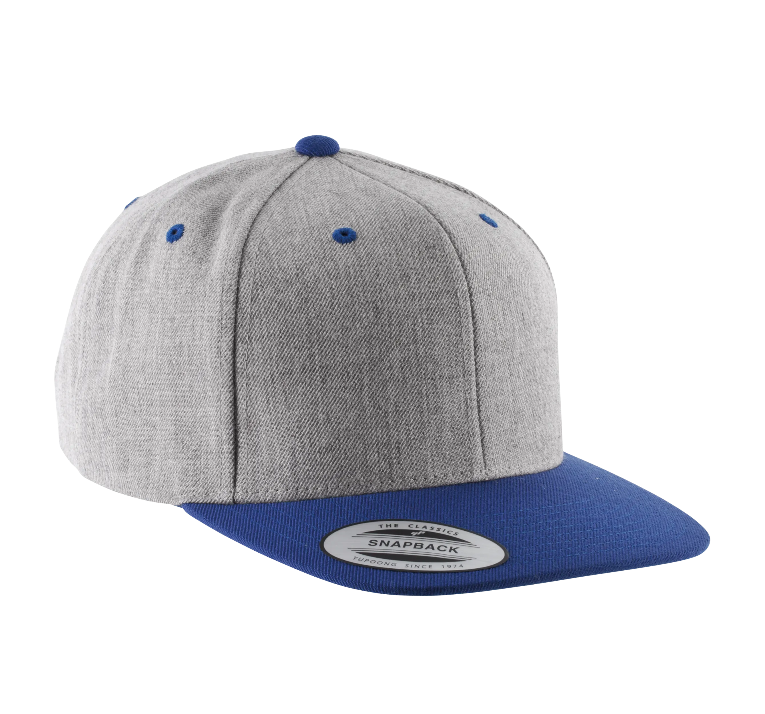 Gorra visera plana - 6 paneles