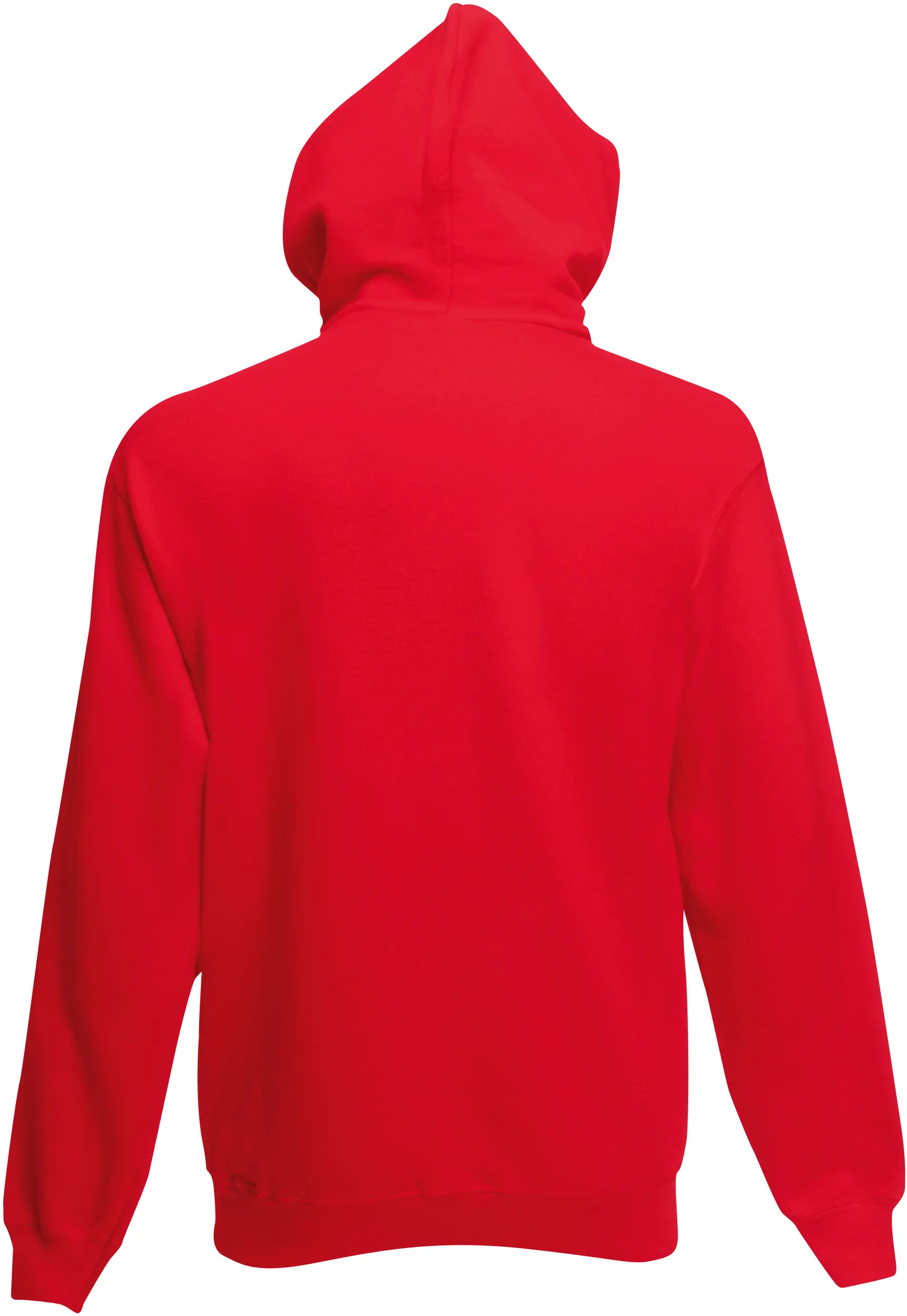 Sudadera Classic capucha  (62-208-0)