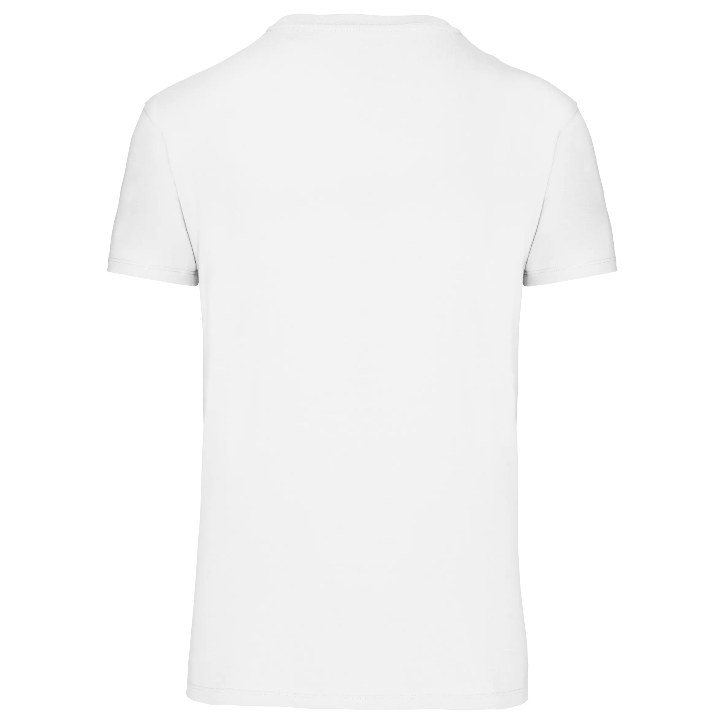Camiseta BIO150 IC cuello de pico hombre
