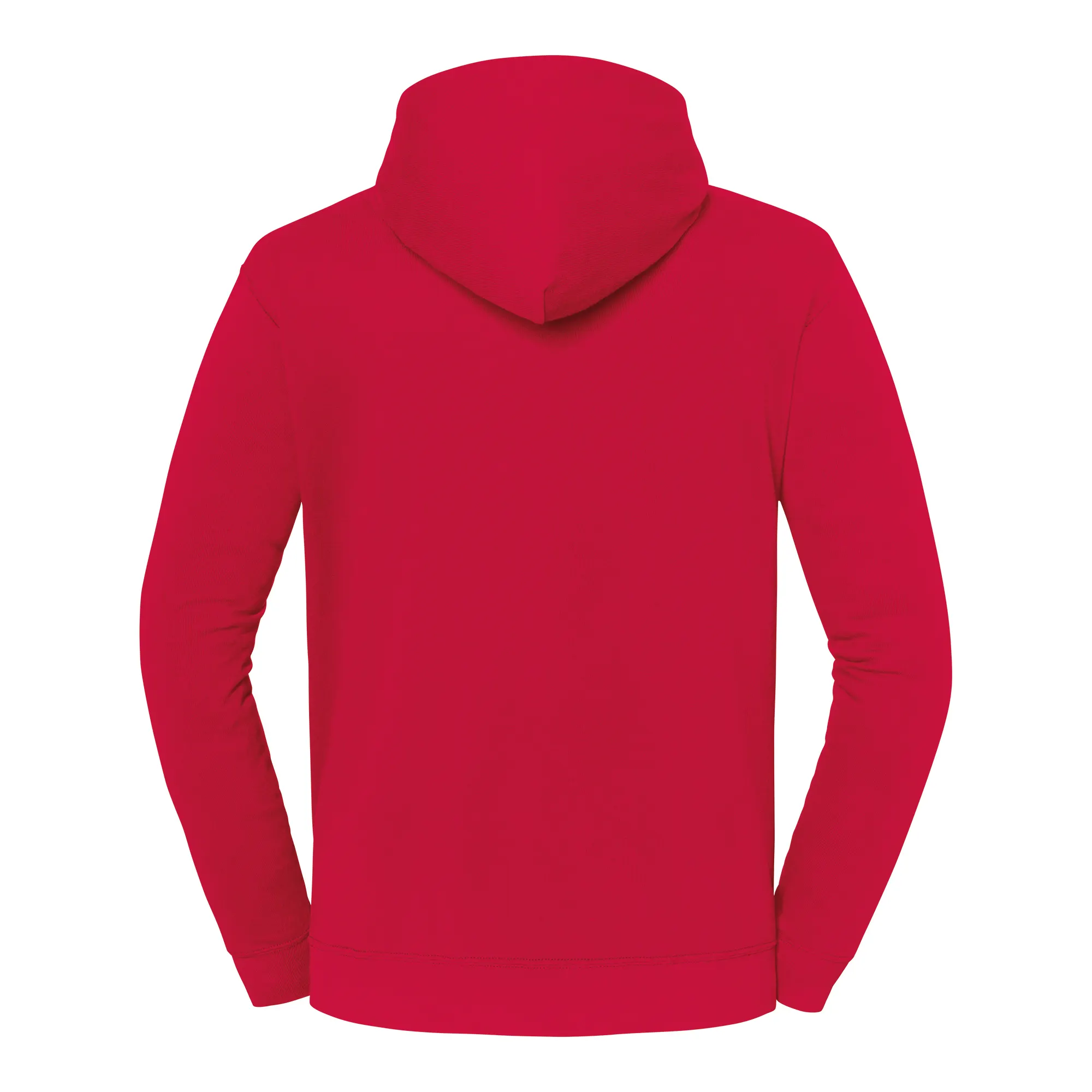 Sudadera con capucha Iconic 250