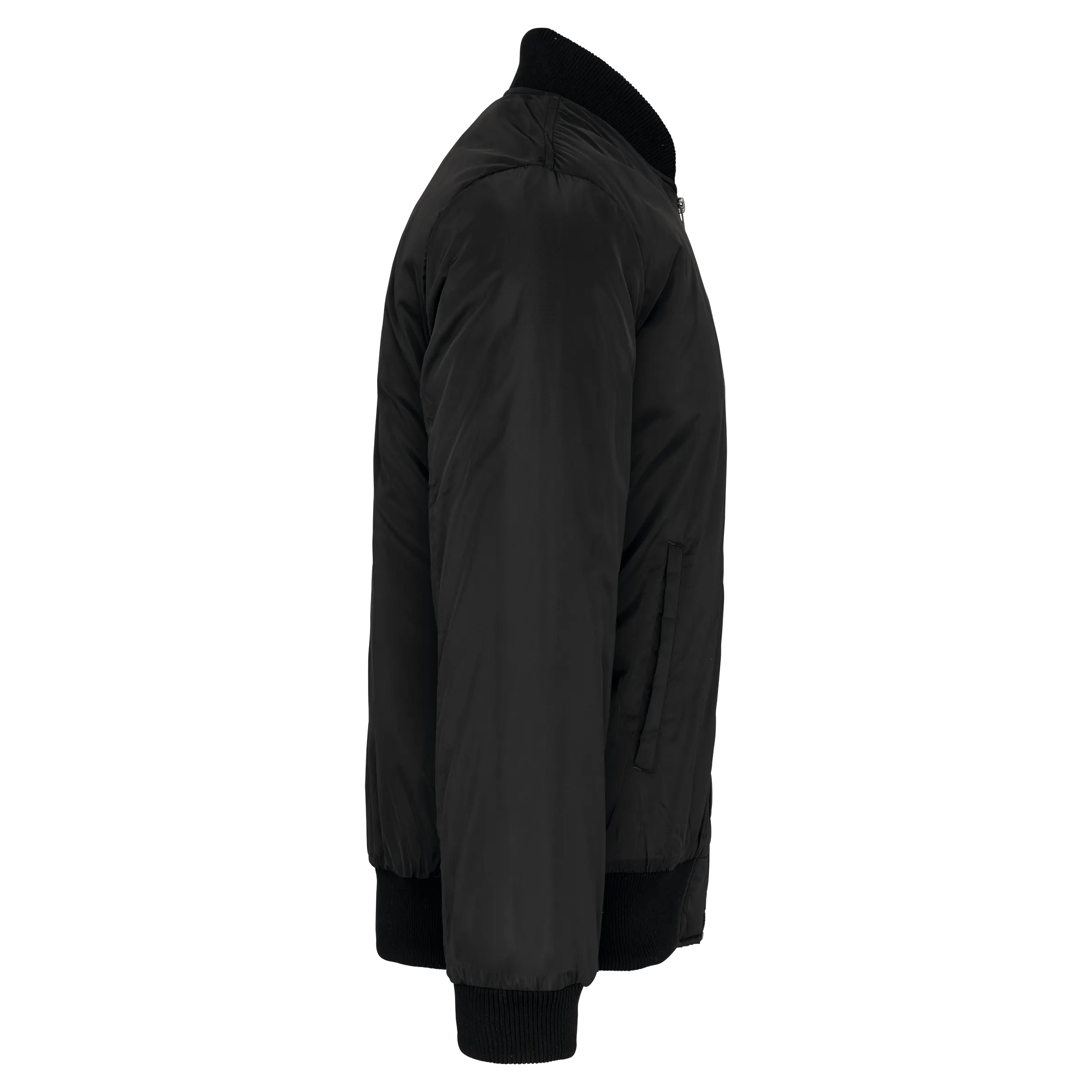 Cazadora bomber hombre