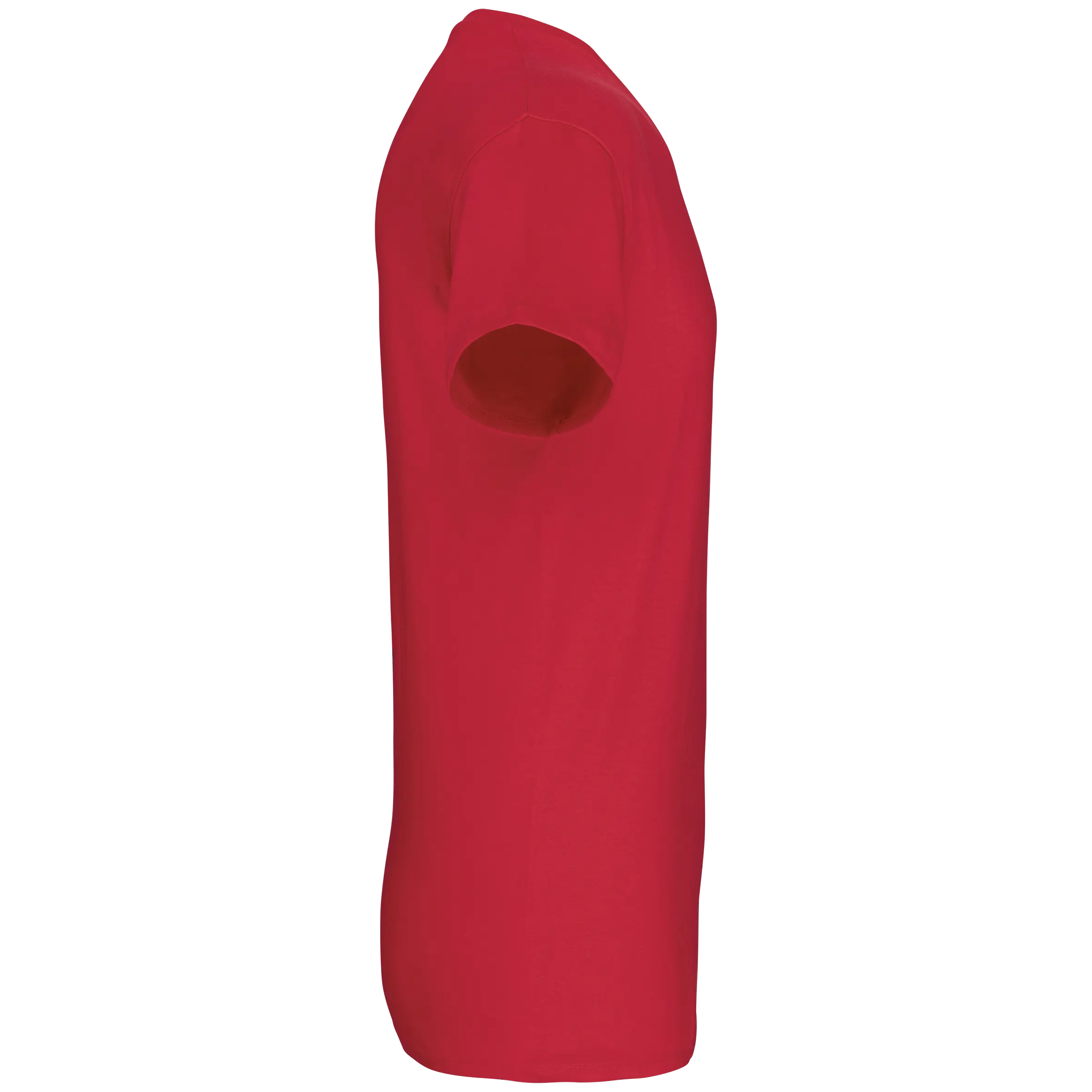 Camiseta BIO150 IC cuello de pico hombre
