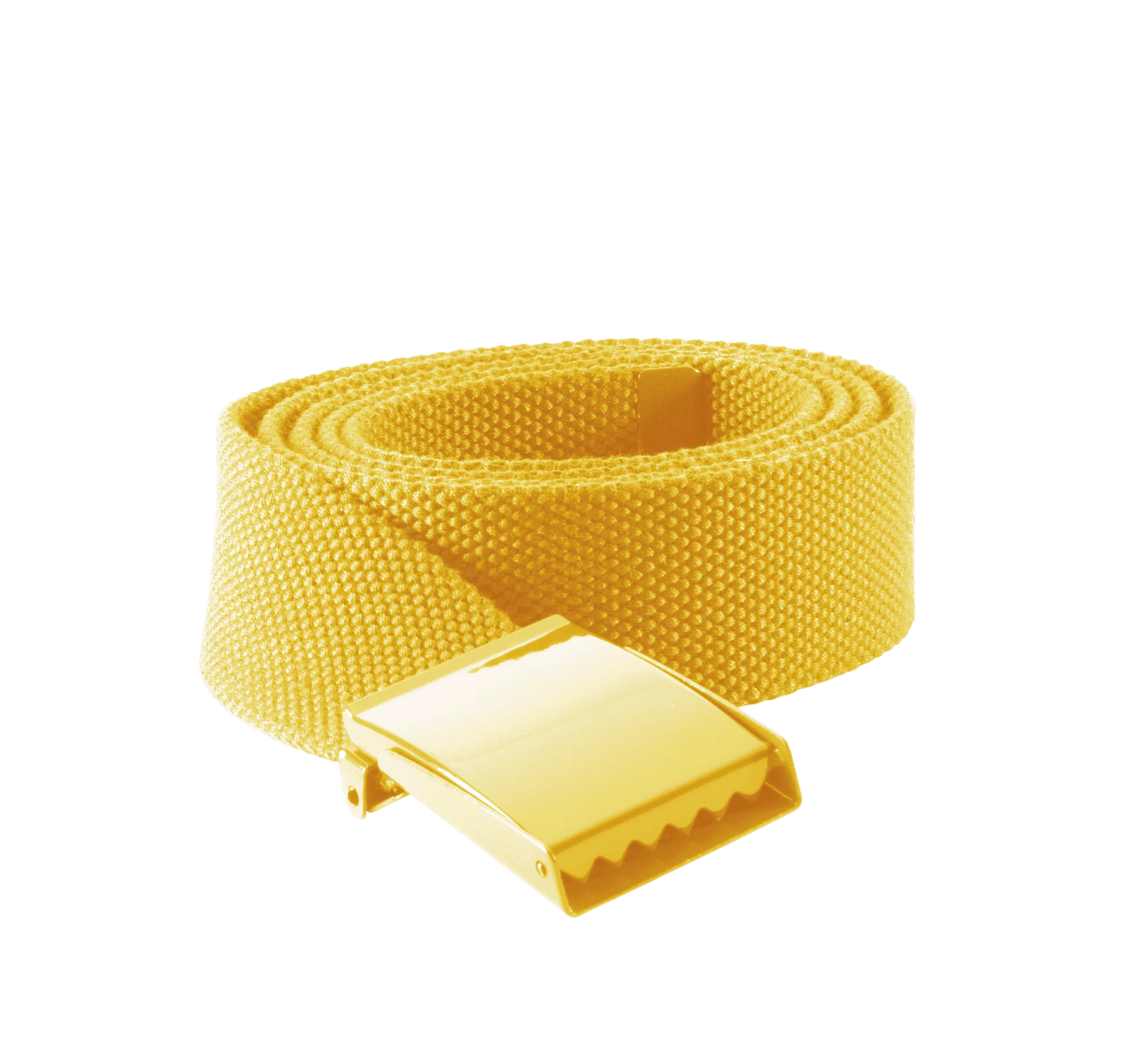 Cinturón de poliéster