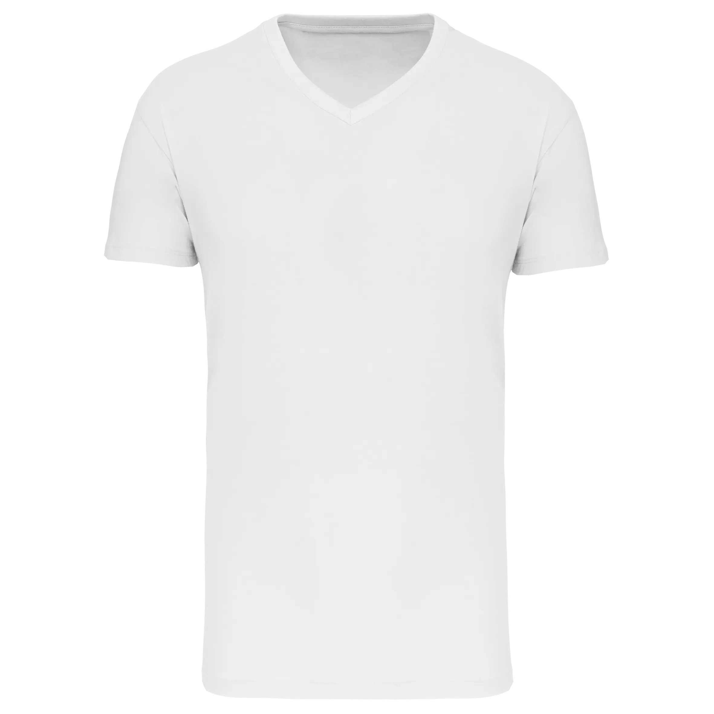 Camiseta BIO150 IC cuello de pico hombre